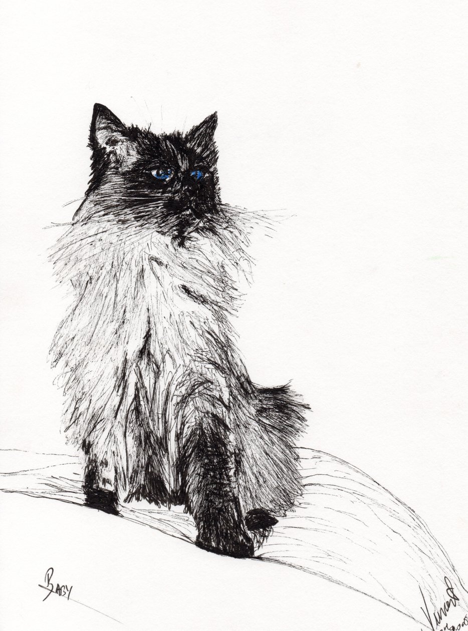 Baby, 2008, (tinta no papel) de Vincent Alexander Booth