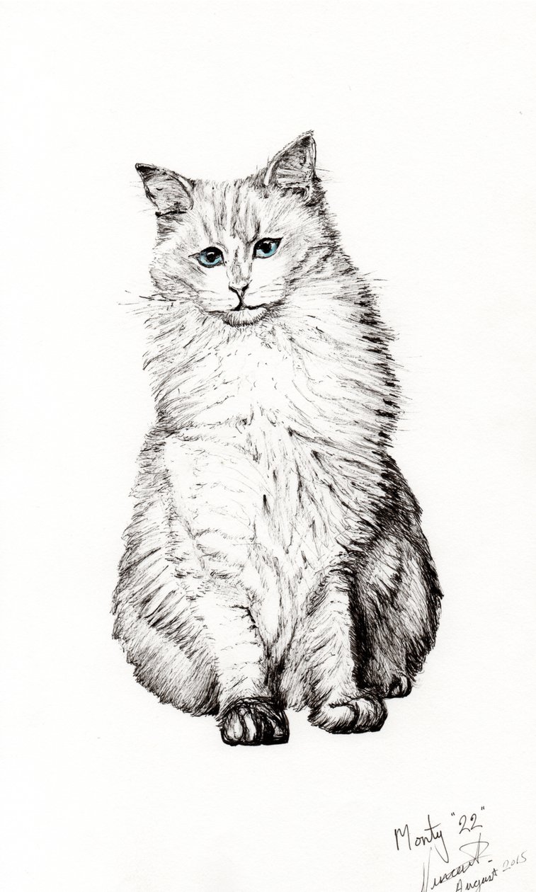 Rapaz, 2015, (tinta no papel) de Vincent Alexander Booth
