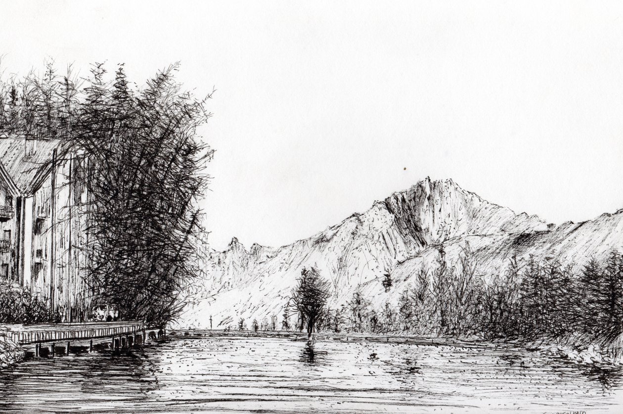 Crans Suíça, 2009, (tinta no papel) de Vincent Alexander Booth