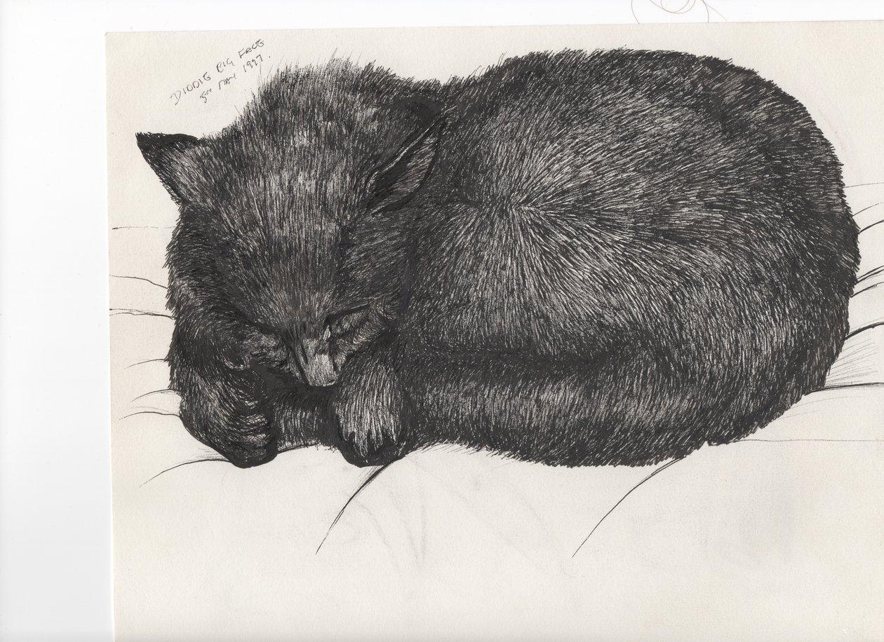 Diddy big face, 1997, (tinta no papel) de Vincent Alexander Booth