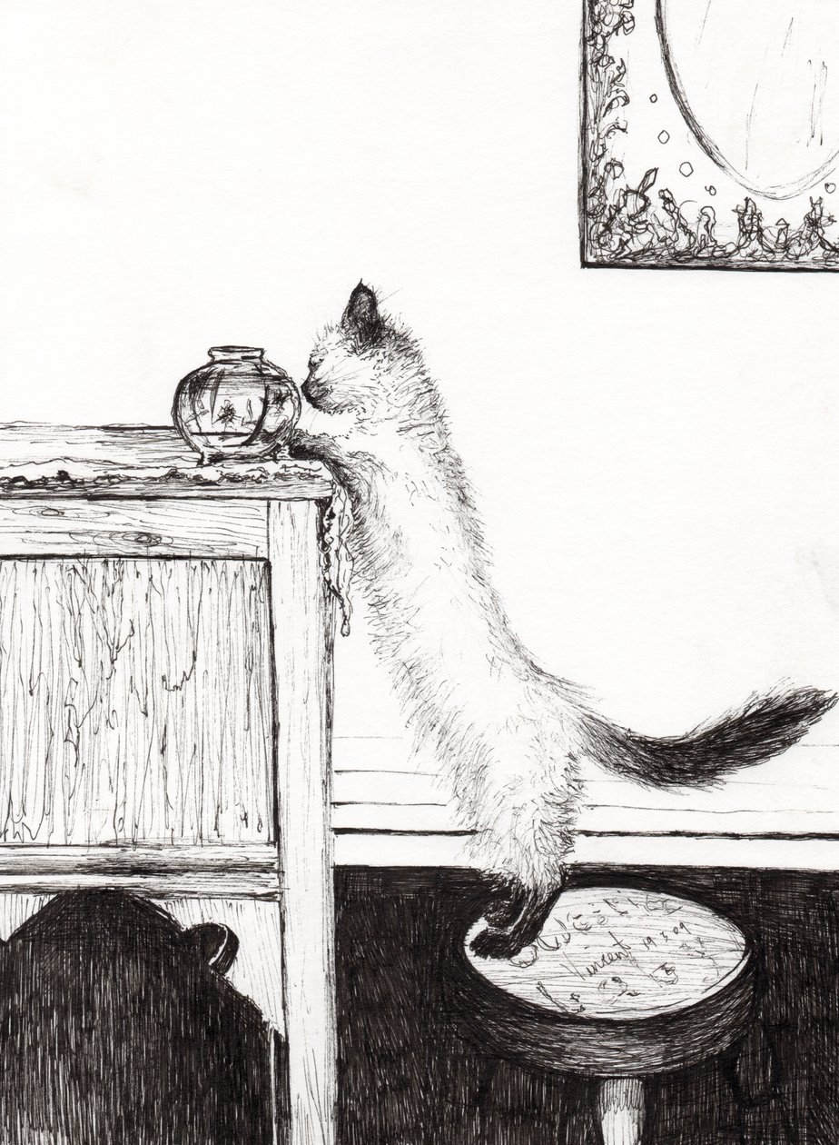 Quebra-cabeça tigela de peixinho, 2009, (tinta no papel) de Vincent Alexander Booth