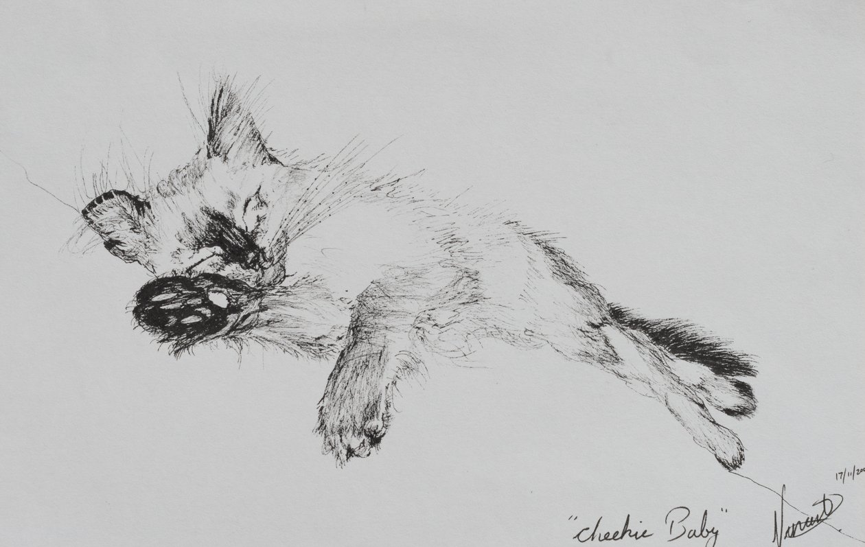 Kitty &39;Baby&39;, 2002, (tinta no papel) de Vincent Alexander Booth