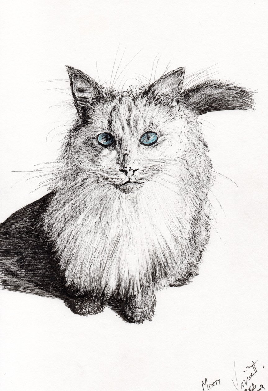 Monty, 2009, (tinta no papel) de Vincent Alexander Booth