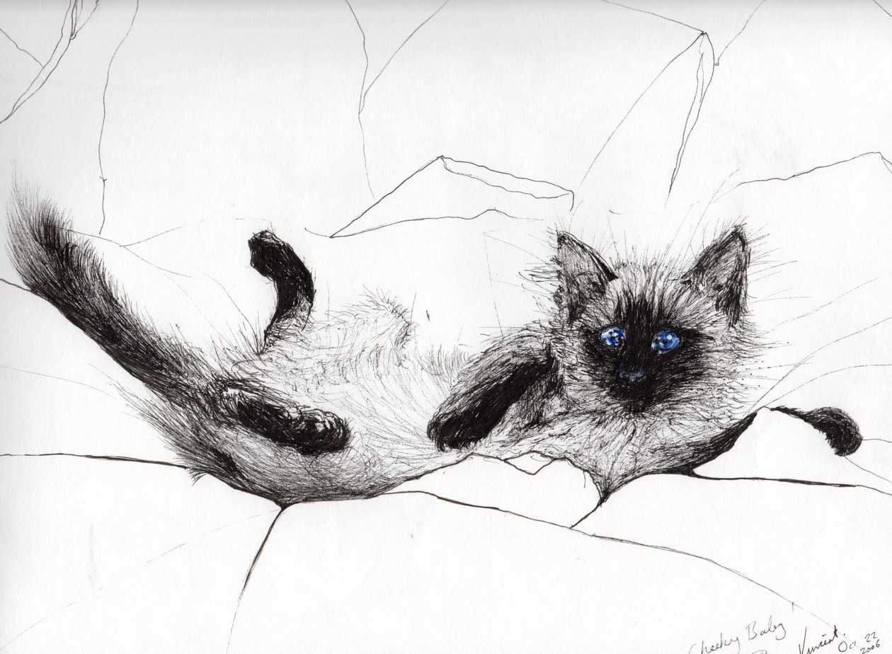 Jogue baby, 2006, (tinta no papel) de Vincent Alexander Booth