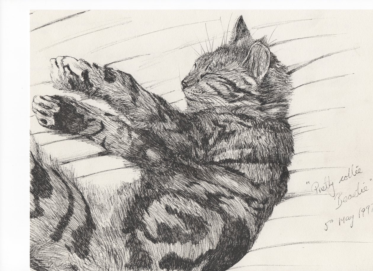 Pretty collie beastie, 1997, (tinta no papel) de Vincent Alexander Booth