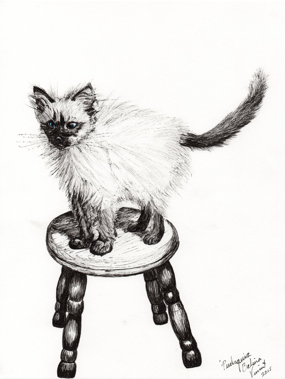 Pudsquiz Belina, 2015, (tinta no papel) de Vincent Alexander Booth
