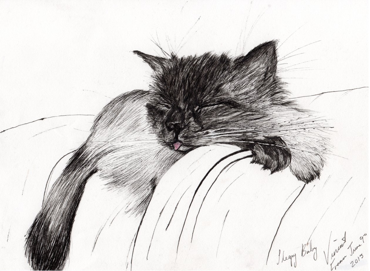 Sleepy Baby, 2013, (tinta no papel) de Vincent Alexander Booth
