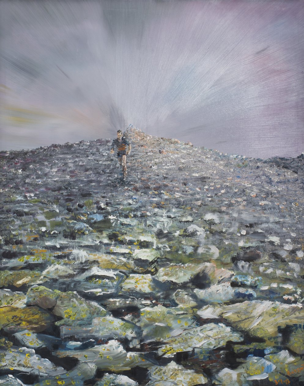 O 42º Pico, 2012, (Óleo sobre tela) de Vincent Alexander Booth
