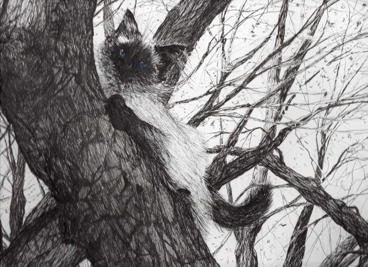 Até a macieira, 2006, (tinta no papel) de Vincent Alexander Booth