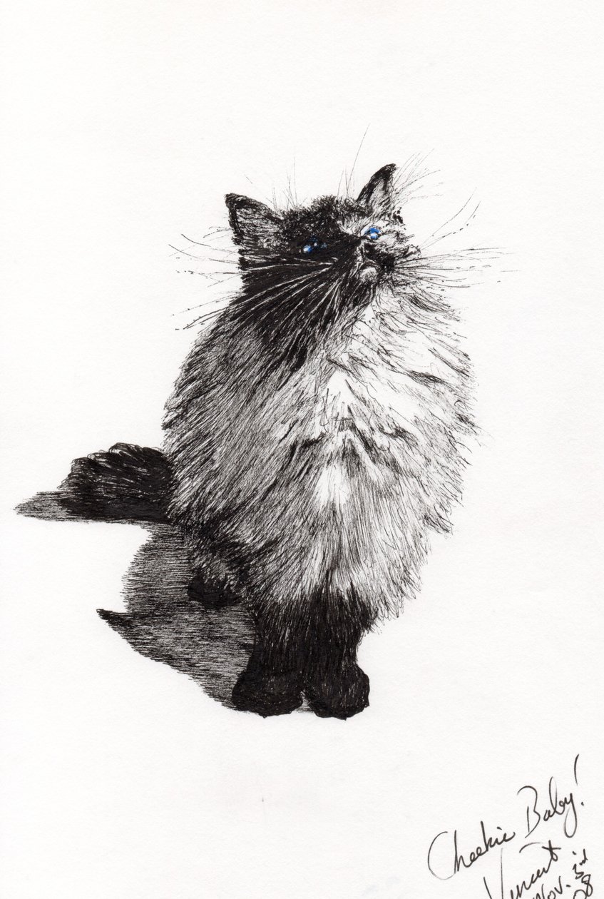 cheekie baby, 2008, (tinta no papel) de Vincent Alexander Booth