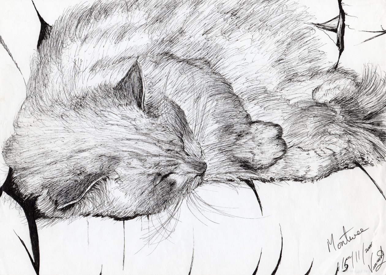 montwee, 2000, (tinta no papel) de Vincent Alexander Booth