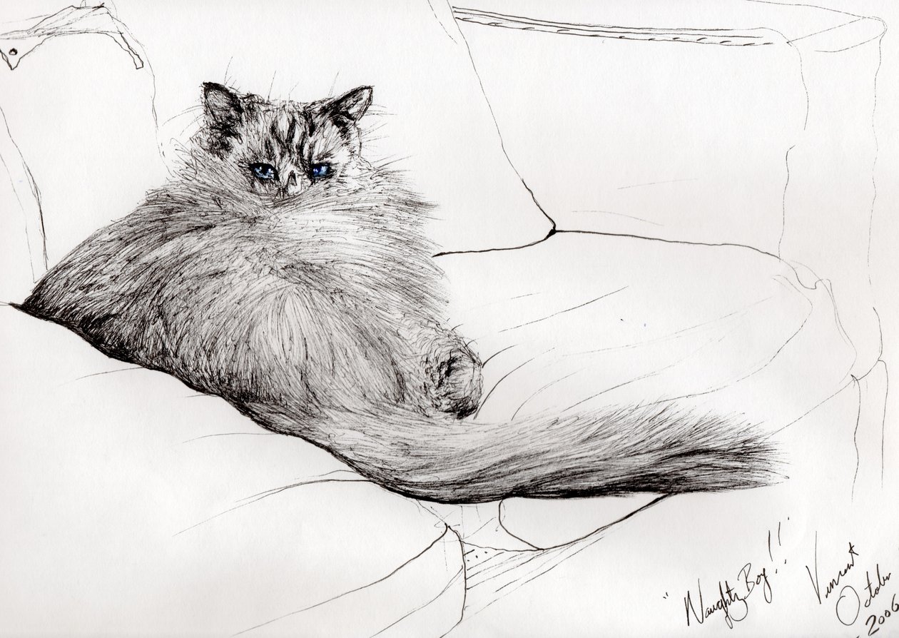 menino travesso !, 2006, (tinta no papel) de Vincent Alexander Booth