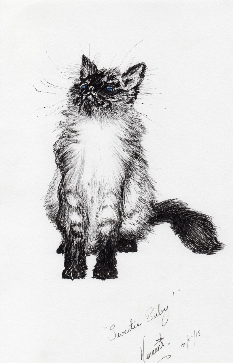 querida bebê, 2015, (tinta no papel) de Vincent Alexander Booth