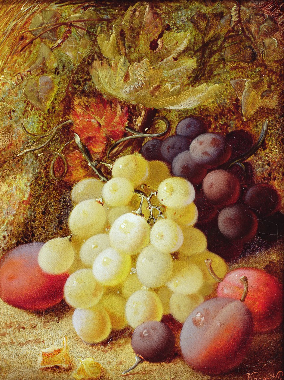 Uvas e Ameixas de Vincent Clare