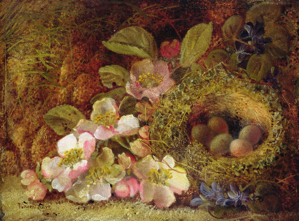 Primavera de Vincent Clare