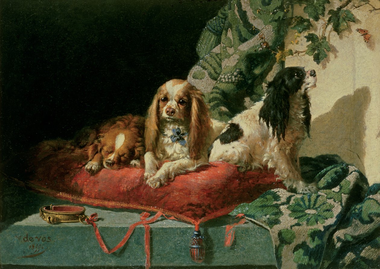 Spaniels de rei Charles de Vincent de Vos
