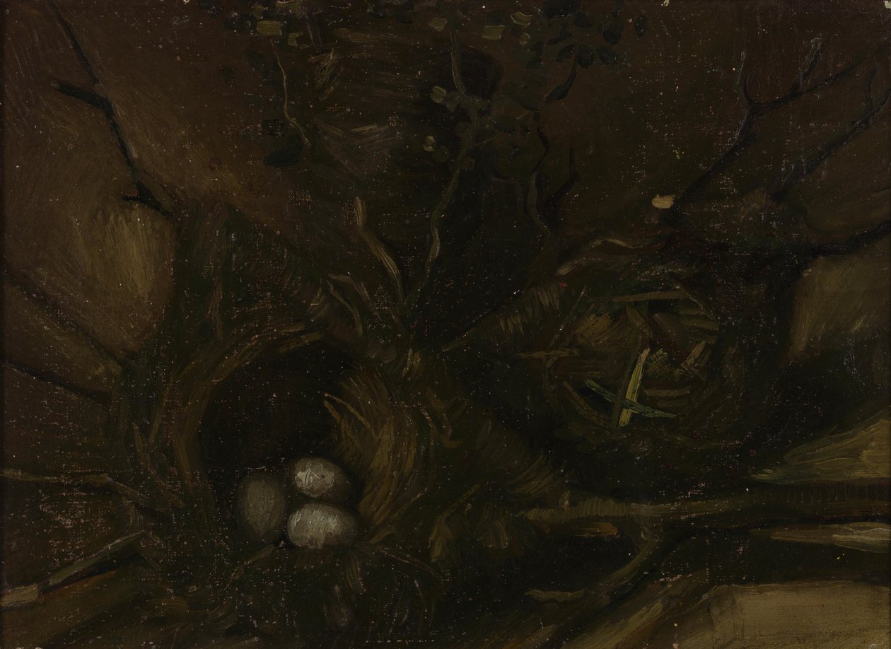 Ninhos de pássaros de Vincent van Gogh