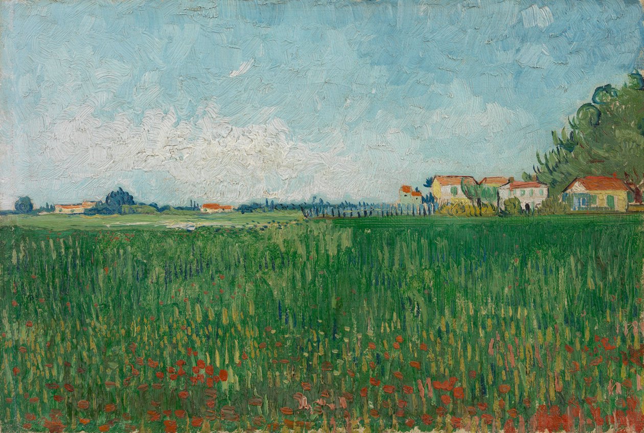 Campo com papoulas de Vincent van Gogh