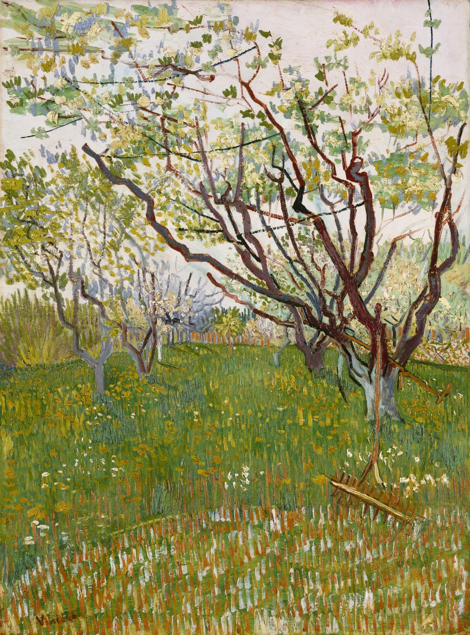 O pomar de floração de Vincent van Gogh