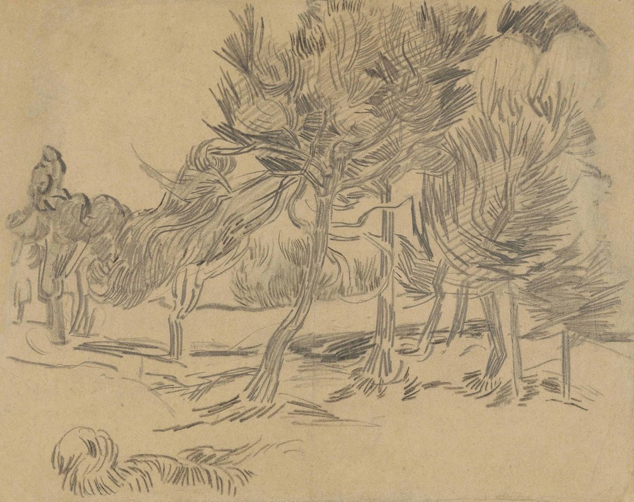 Um grupo de pinheiros de Vincent van Gogh
