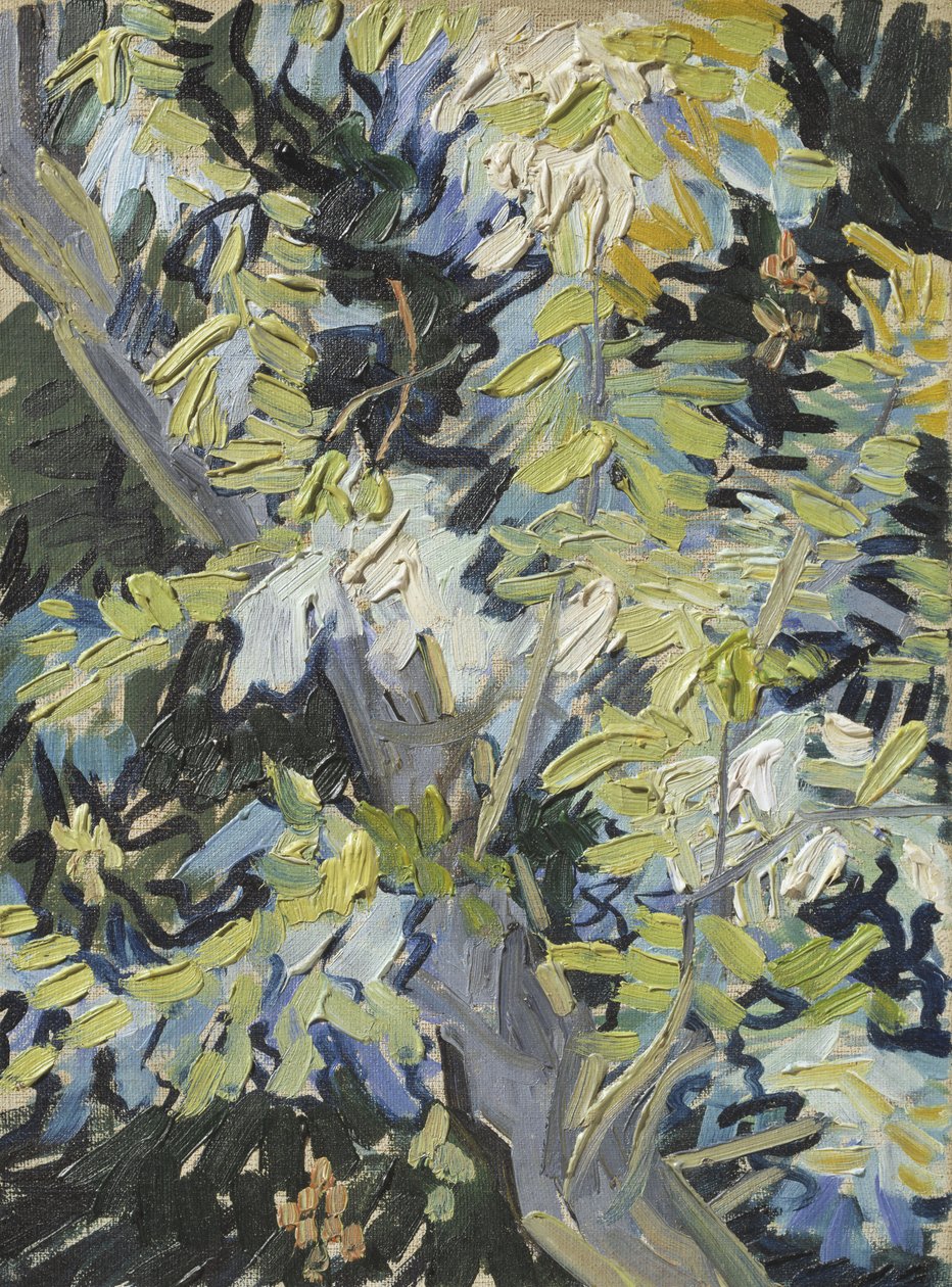 Acácia em flor, c.1889 de Vincent van Gogh