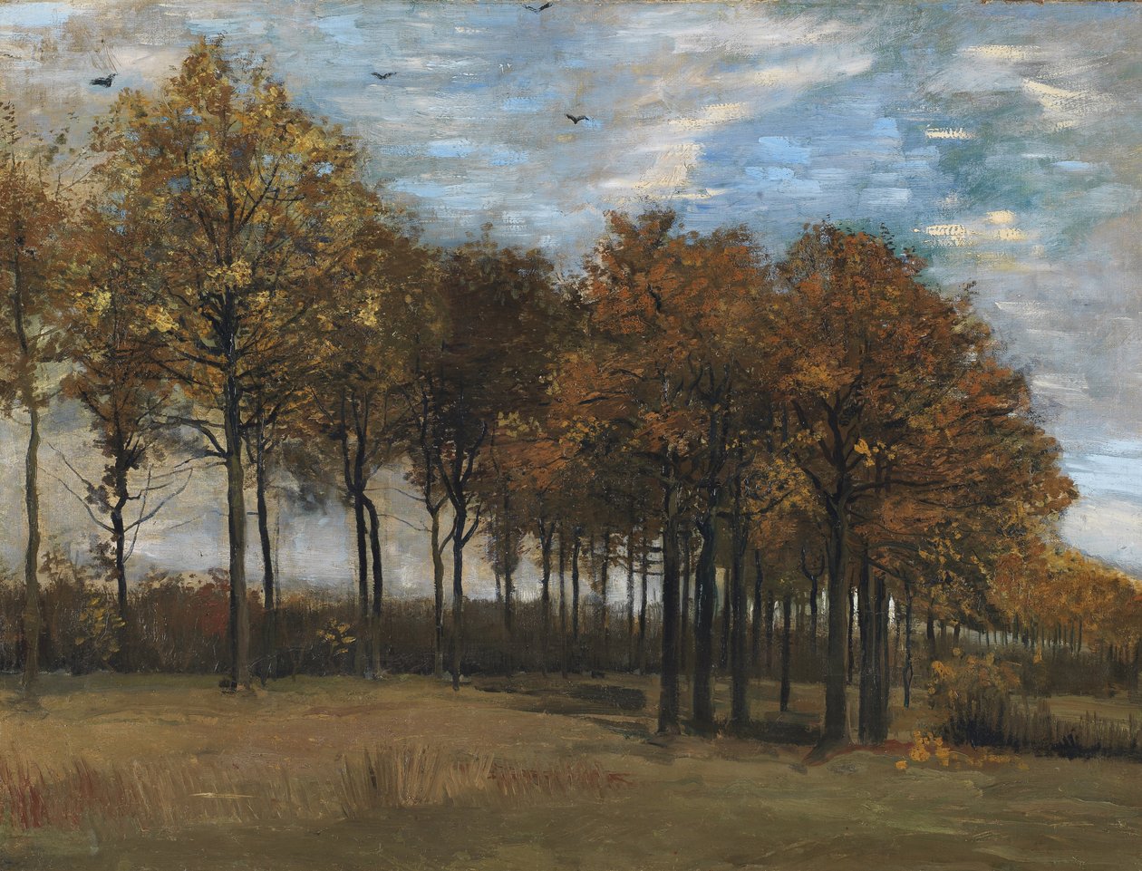 Autumn Landscape, c.1885 (óleo sobre tela colocado no painel) de Vincent van Gogh