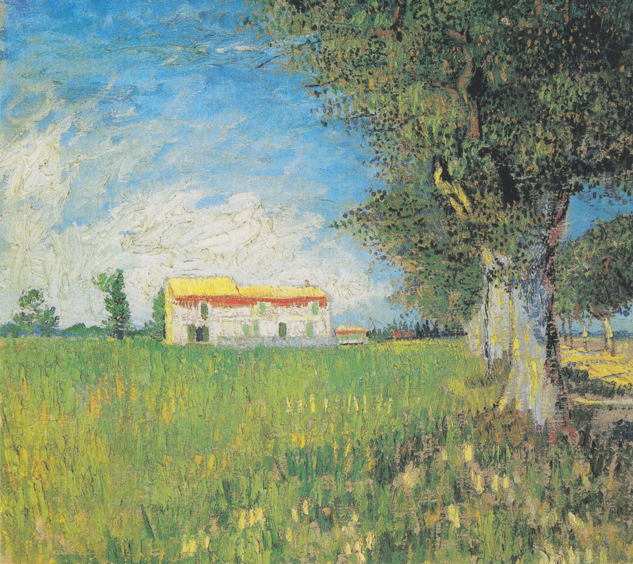 Farmhouse em um campo de trigo de Vincent van Gogh