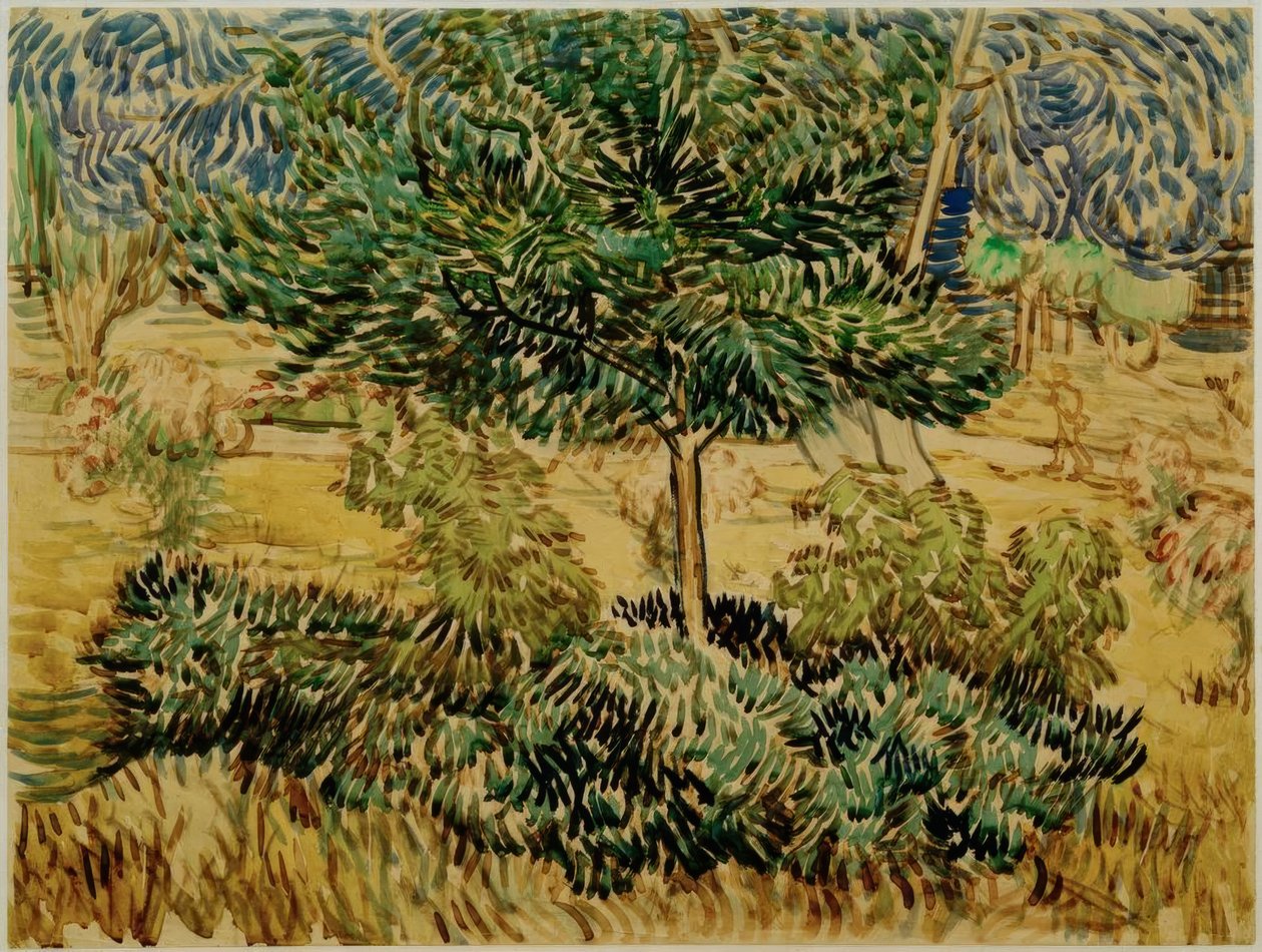 Árvores e arbustos no jardim do sanatório de Vincent van Gogh