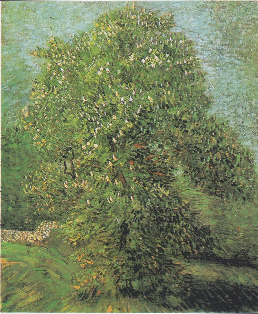 Castanheiro em flor de Vincent van Gogh
