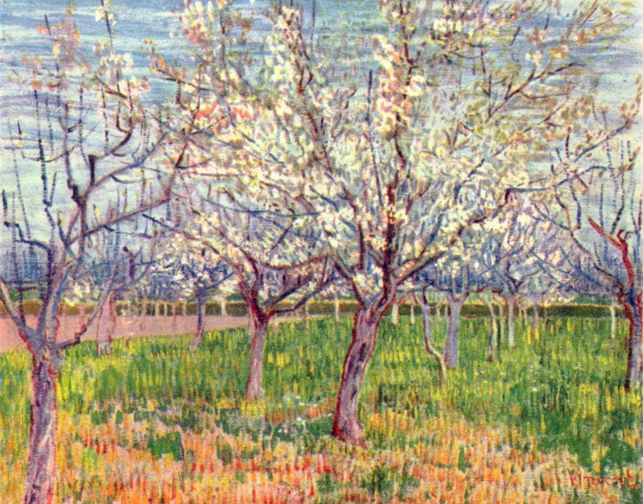 Pomar florescendo de Vincent van Gogh