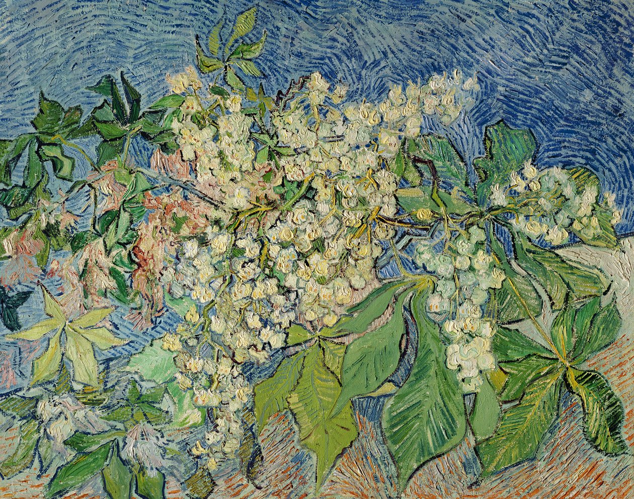 Ramos de castanha em flor, 1890 de Vincent van Gogh
