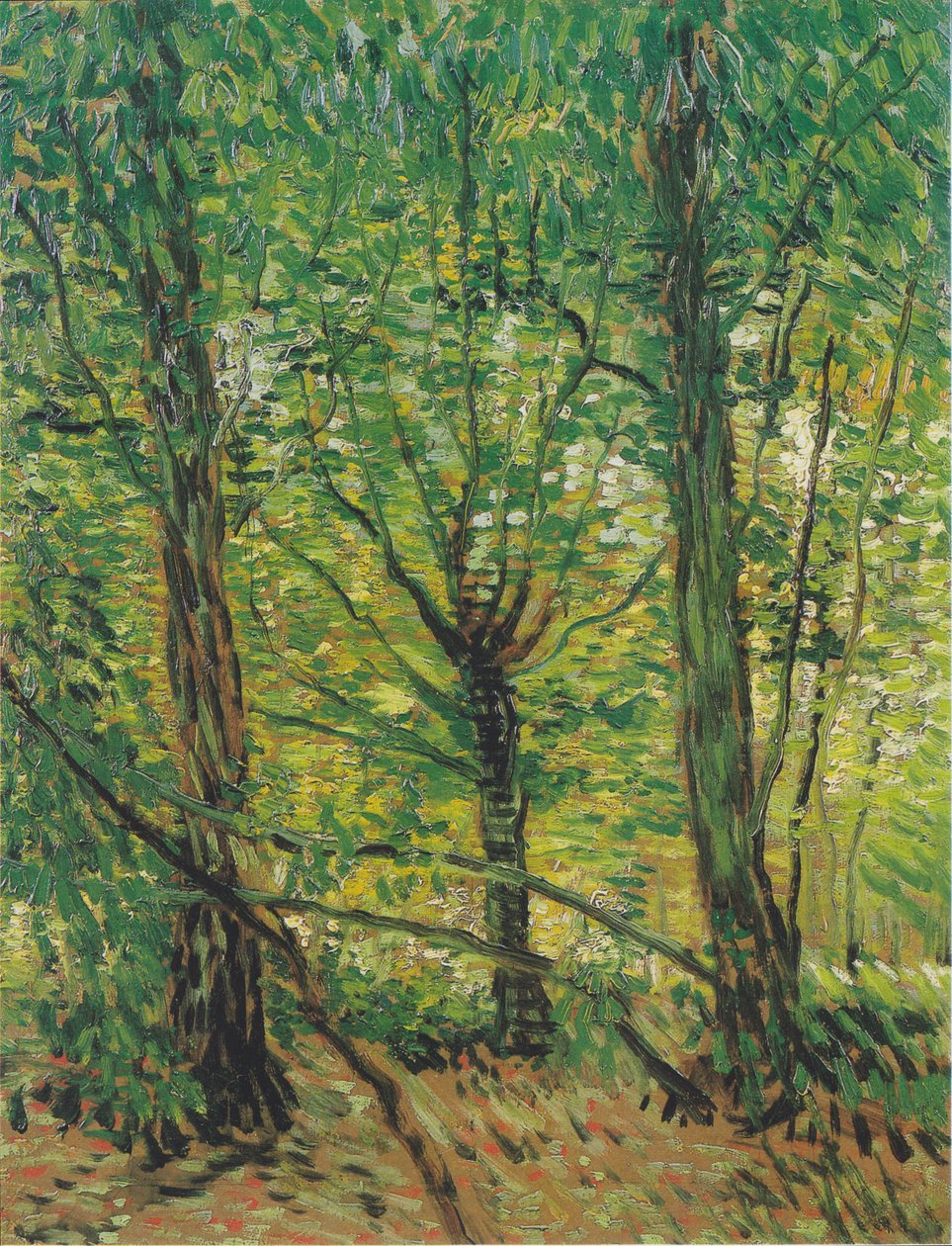 Árvores e vegetação rasteira de Vincent van Gogh