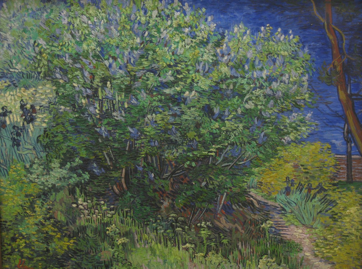 arbusto de Vincent van Gogh