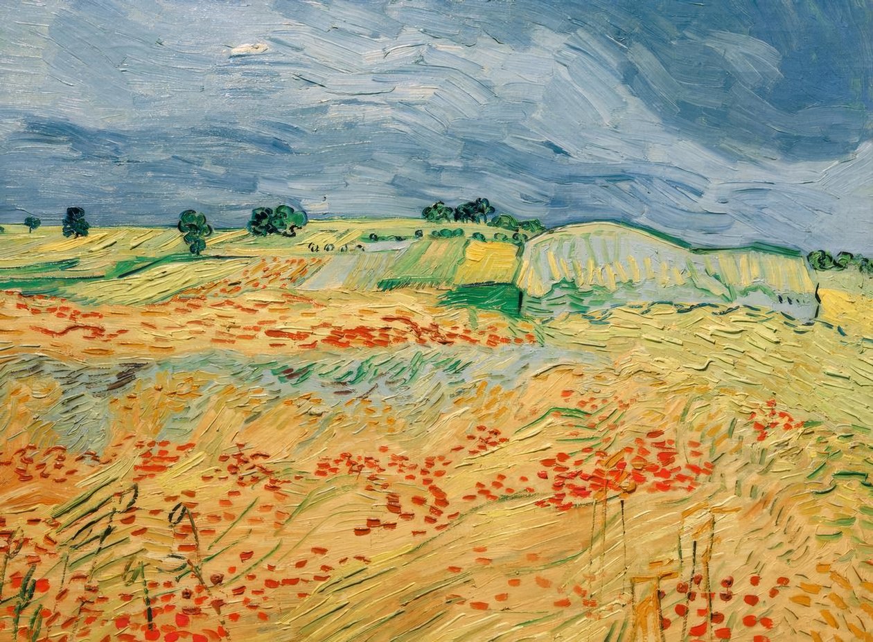 Campos, com papoula de florescência de Vincent van Gogh