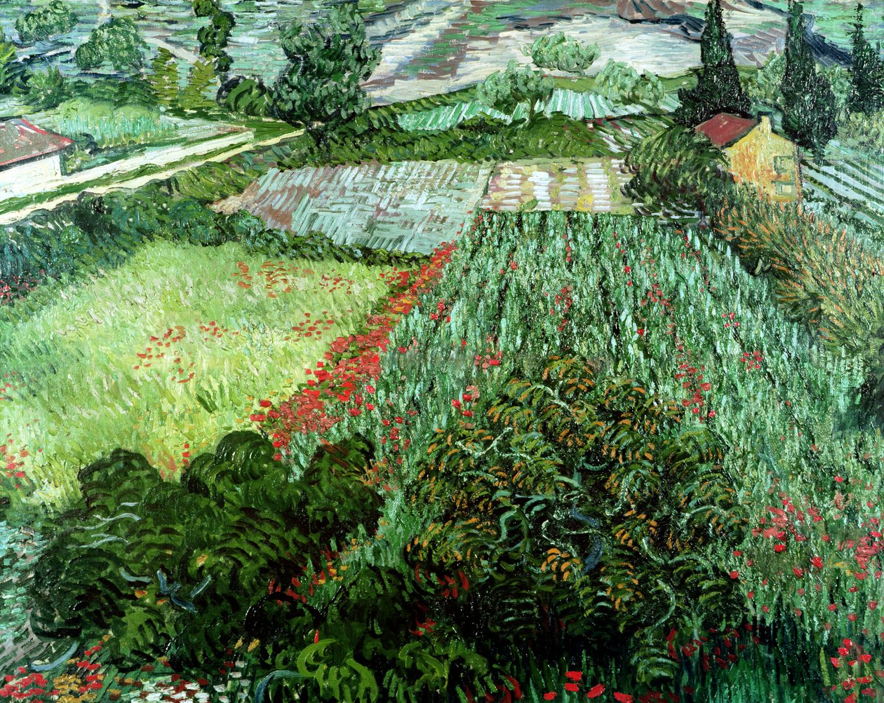 Campo com papoulas, 1889 de Vincent van Gogh