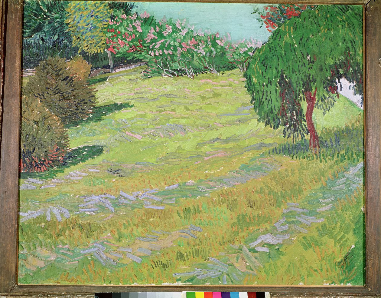 Campo com salgueiro-chorão, 1888 de Vincent van Gogh
