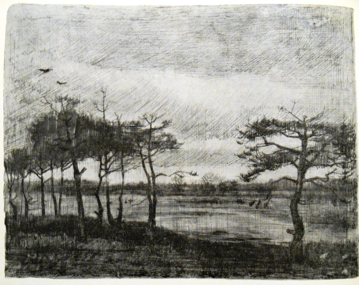 Abetos por um pântano de Vincent van Gogh