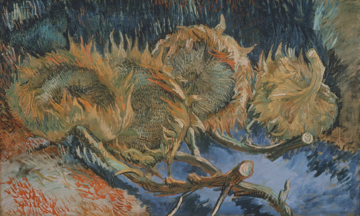 Quatro girassóis murchos, 1887 de Vincent van Gogh