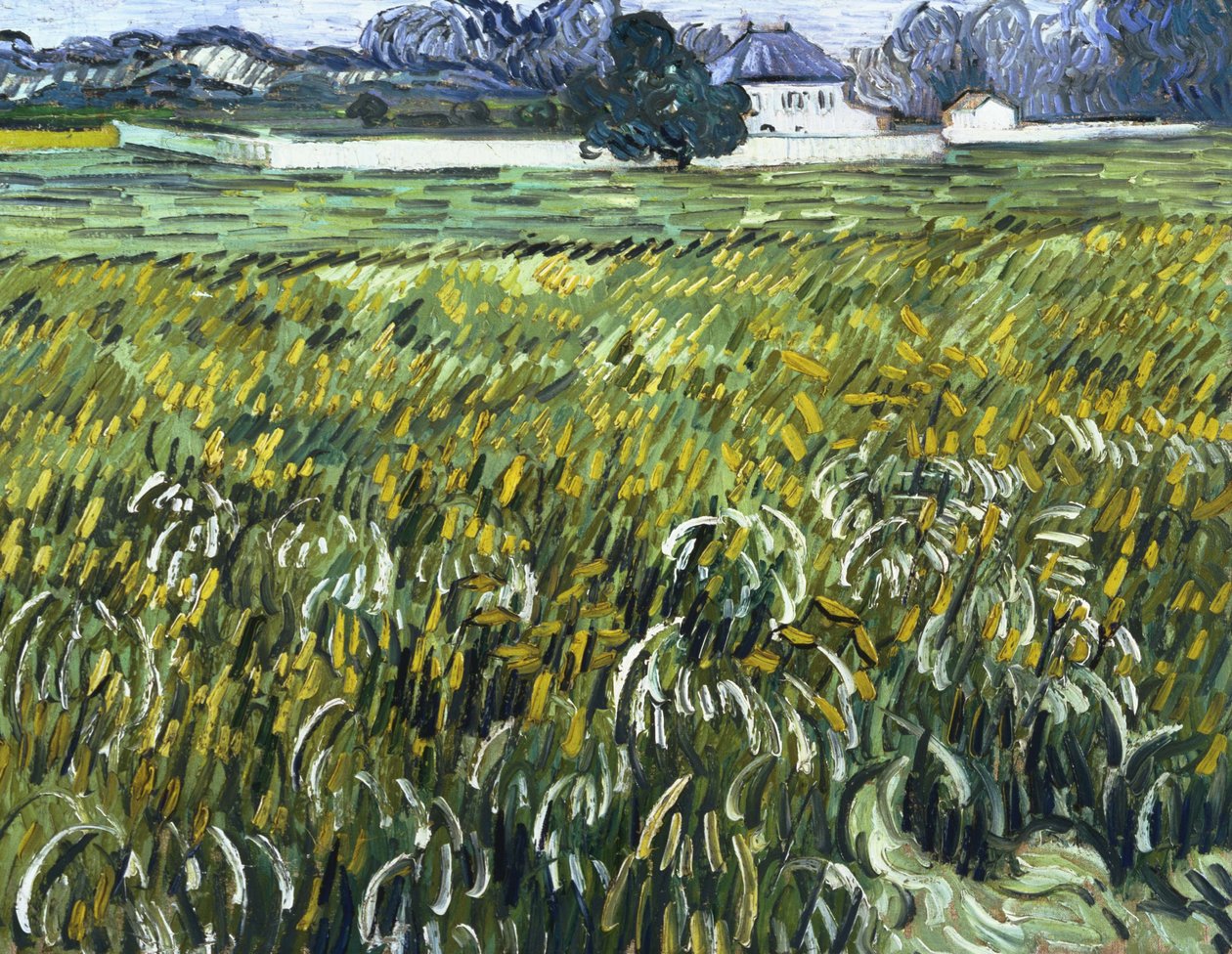 Casa em Auvers de Vincent van Gogh
