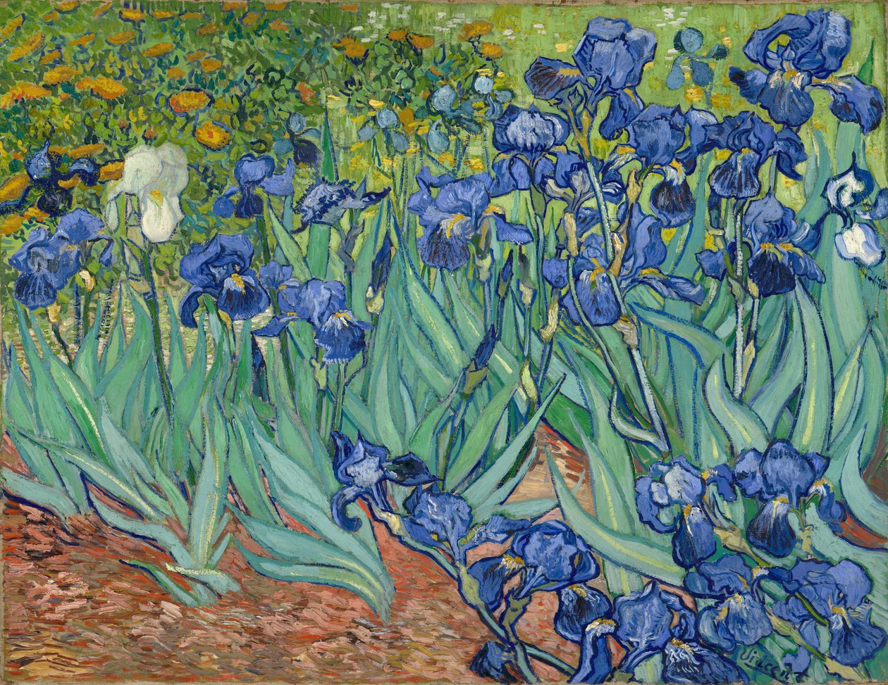 Íris de Vincent van Gogh