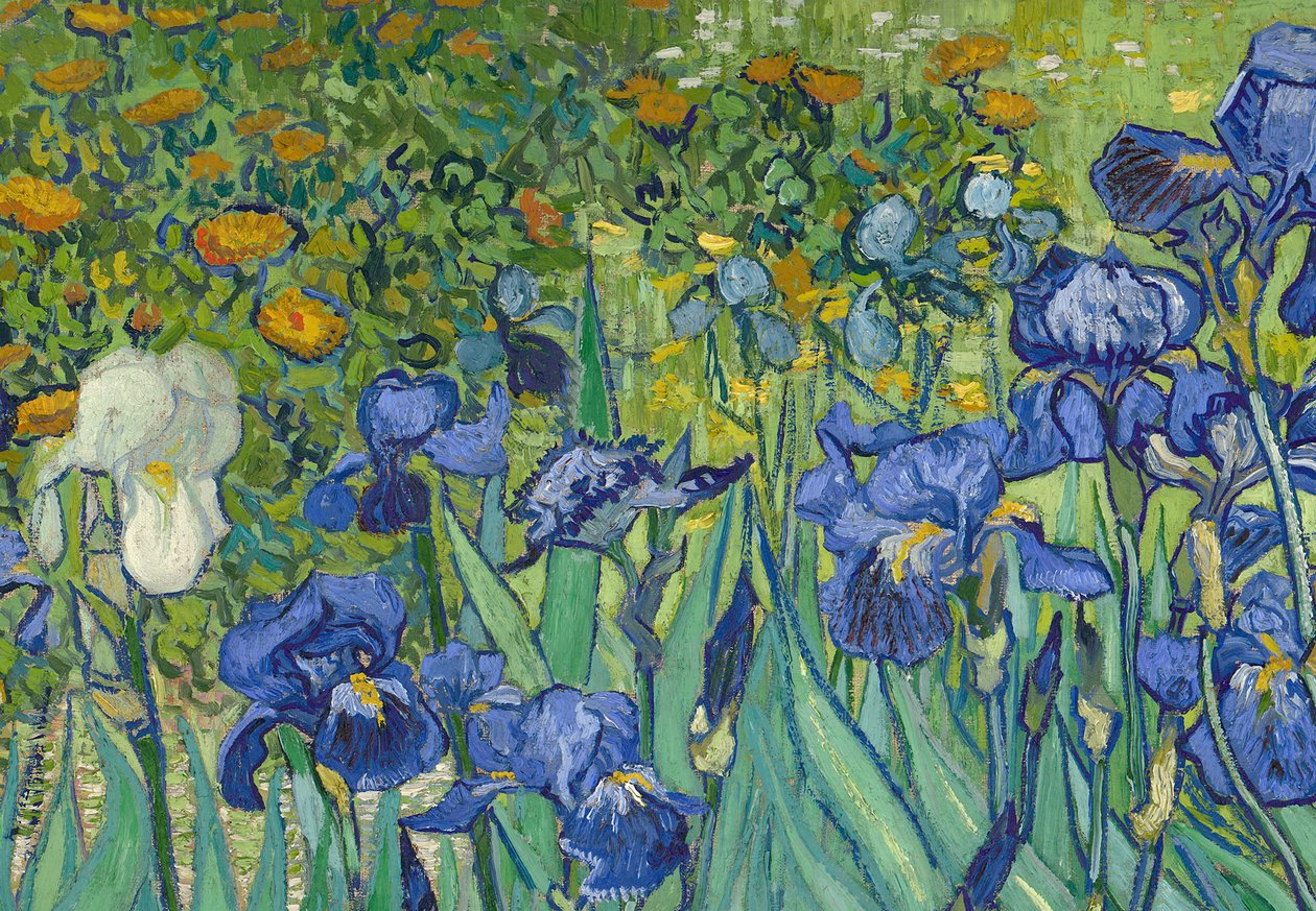 Íris, 1889 (detalhe de 40070) de Vincent van Gogh