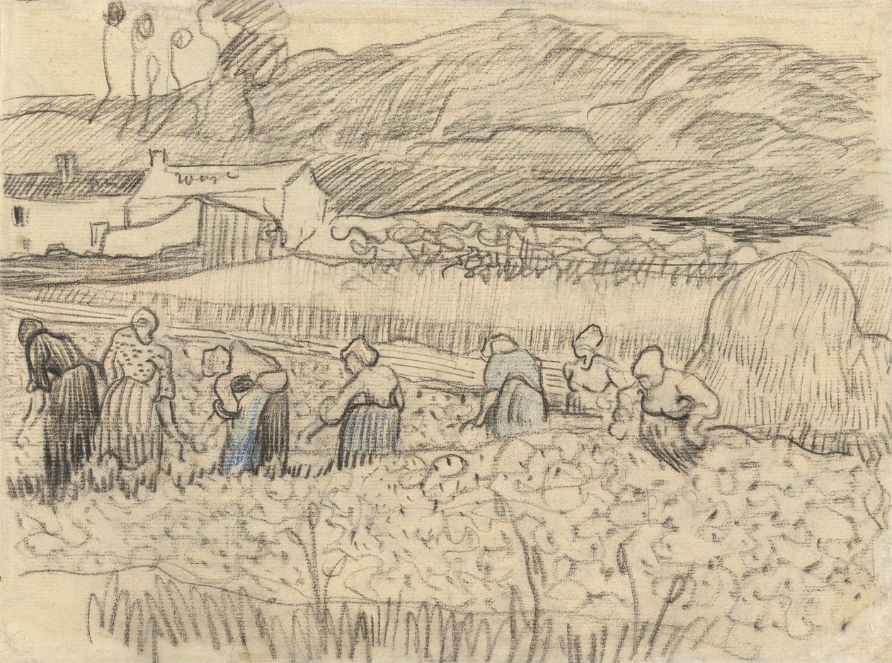 Paisagem, camponês, mulheres, colheita de Vincent van Gogh