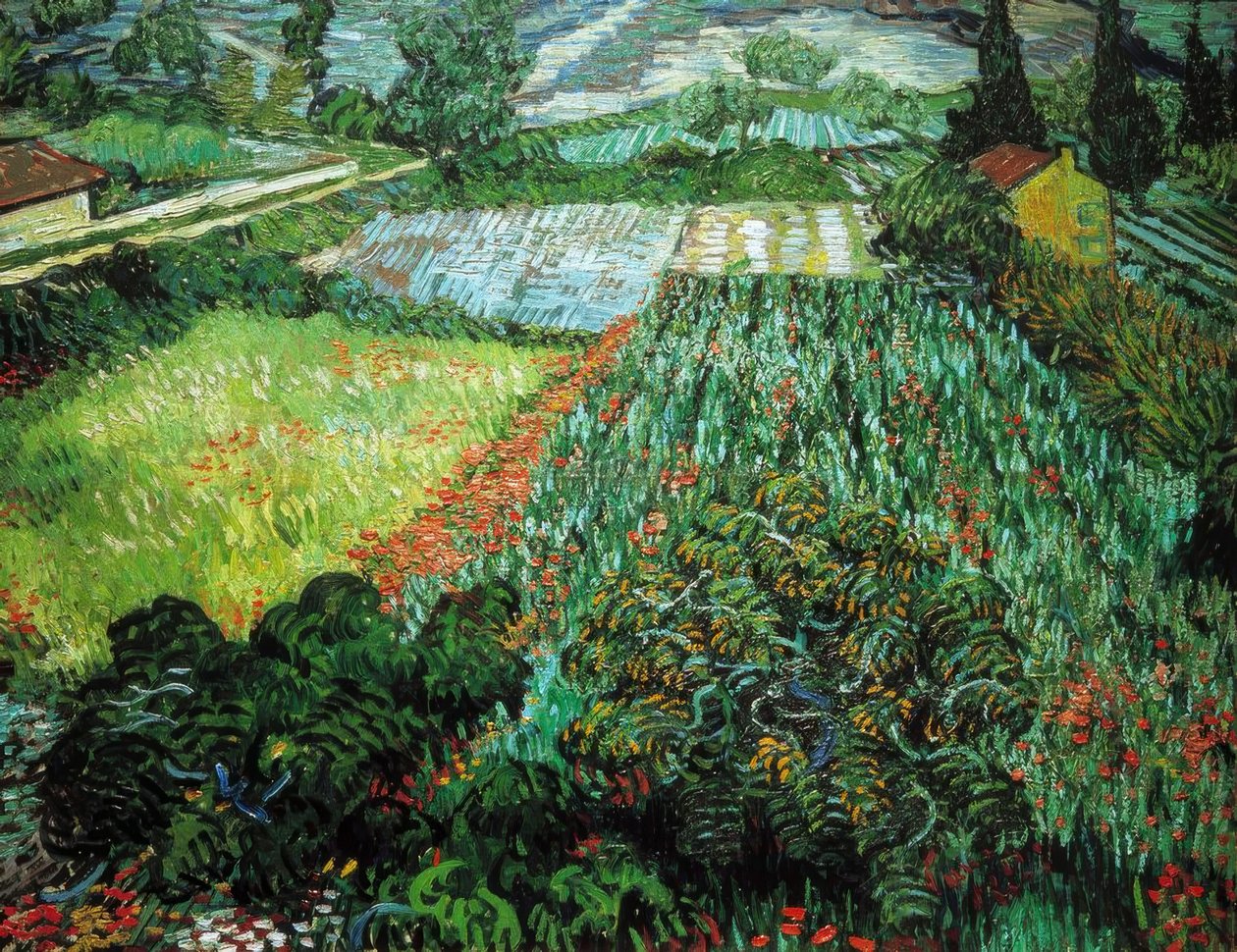 Mohnfeld de Vincent van Gogh