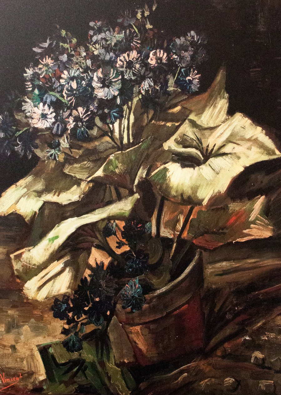 Meu sonho de Vincent van Gogh