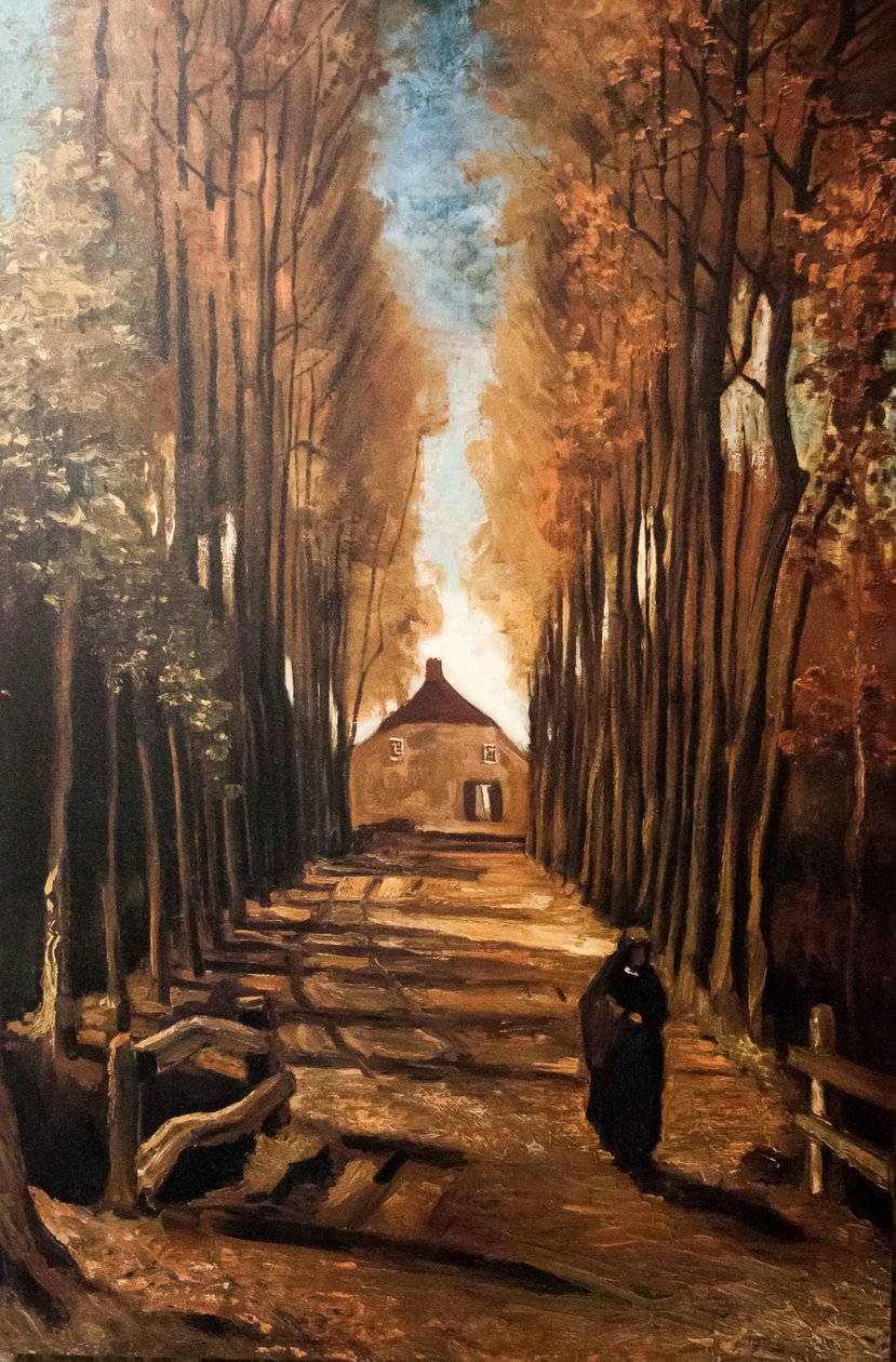 Meu sonho de Vincent van Gogh