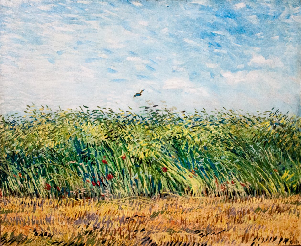 Meu sonho de Vincent van Gogh
