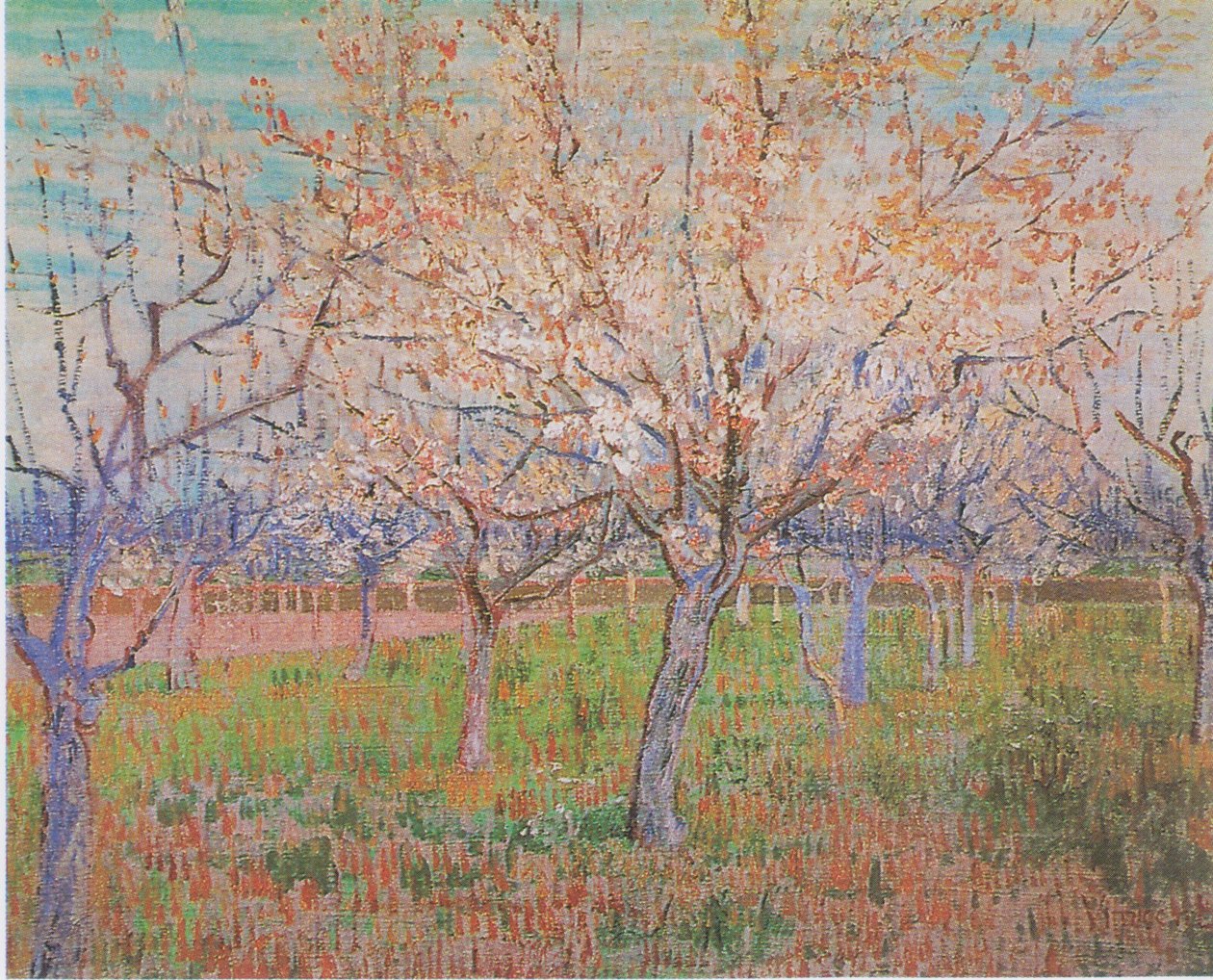 Pomar, com, florescendo, damasco, árvores de Vincent van Gogh