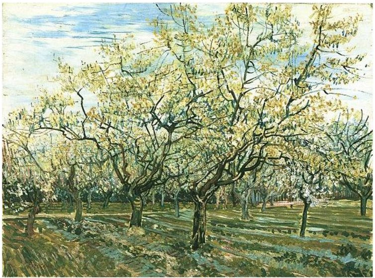 Pomar, com, florescendo, ameixa, árvores de Vincent van Gogh
