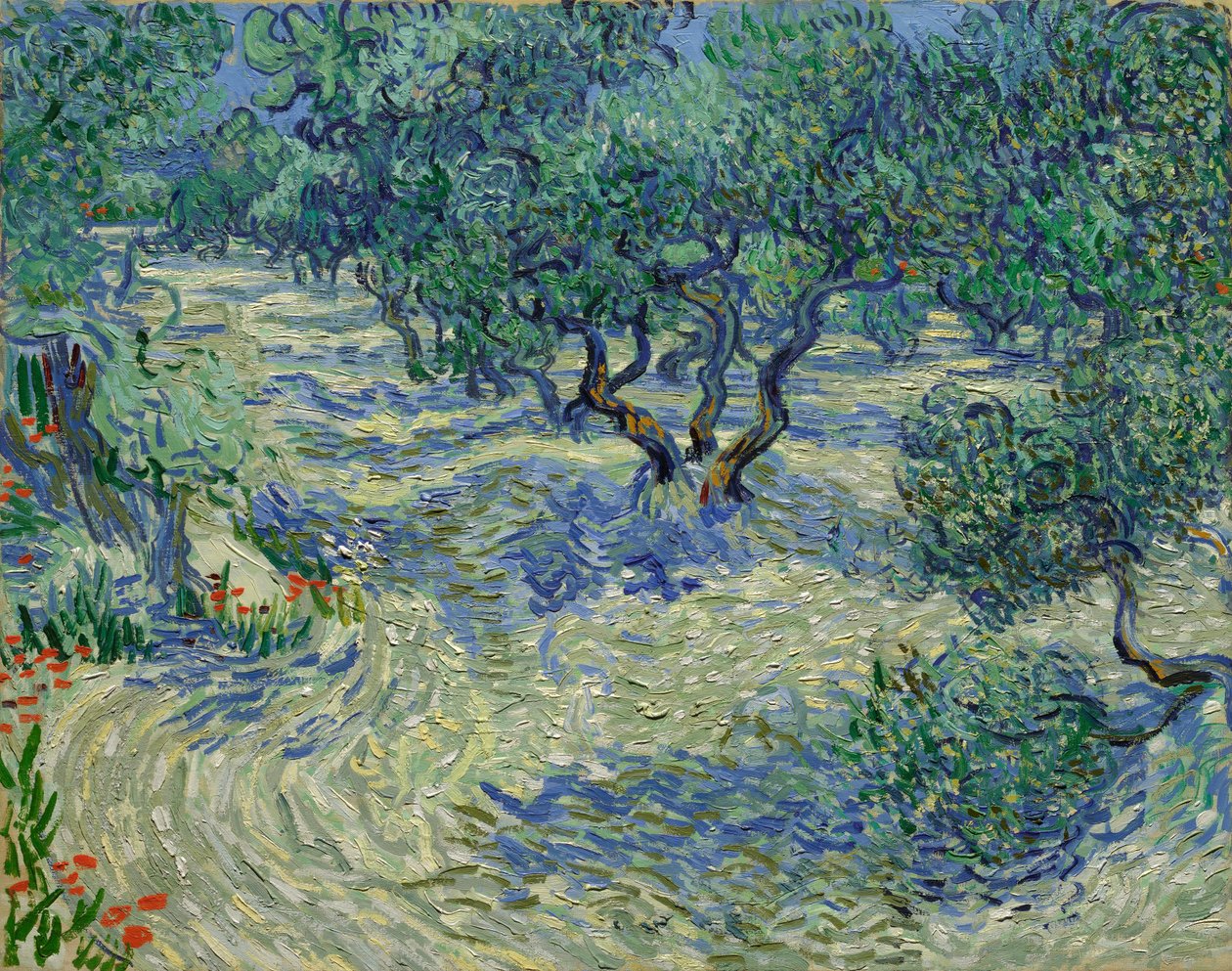 Olive Orchard de Vincent van Gogh