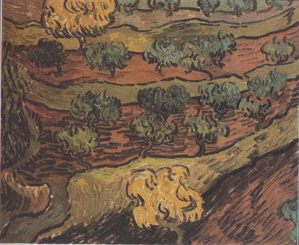 Oliveiras em uma colina de Vincent van Gogh